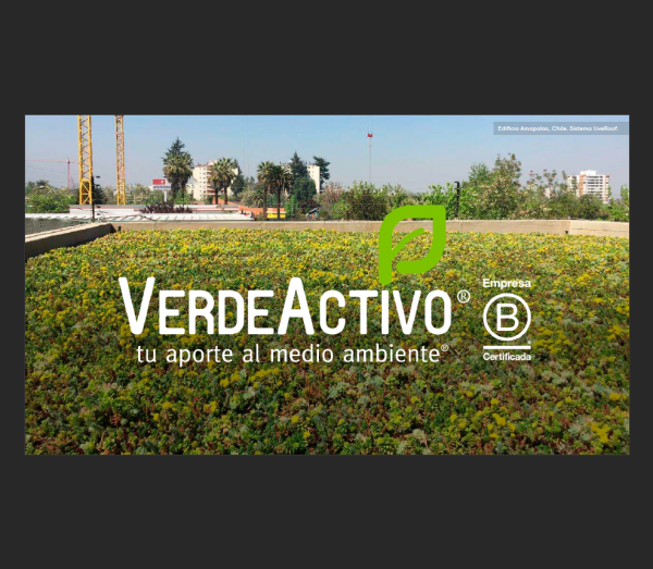 Roadshow CCI 202301 Verde Activo