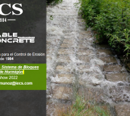 IECS Global – Diego Muñoz